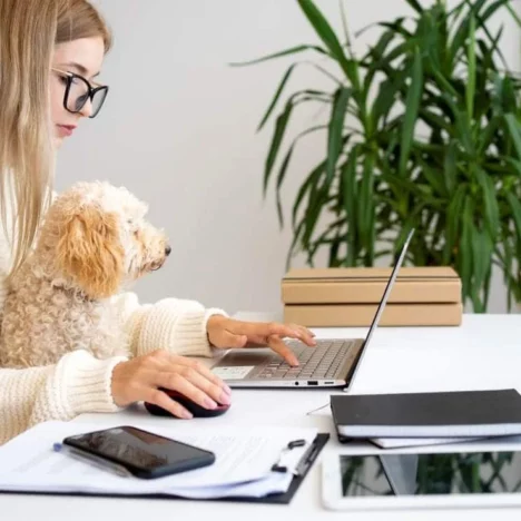 Mała firma od podstaw: jak wyróżnić się na rynku i przyciągnąć klientów